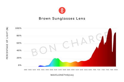 Clarke Sunglasses Prescription (Brown)